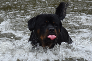 Deminas Jethro
